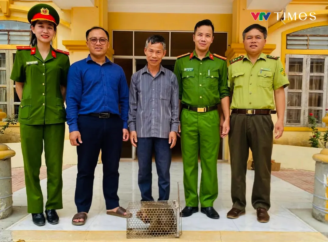 Nghệ An: Li&ecirc;n tiếp &ldquo;giải cứu&rdquo; nhiều động vật qu&yacute; hiếm, thả về m&ocirc;i trường tự nhi&ecirc;n - Ảnh 2.