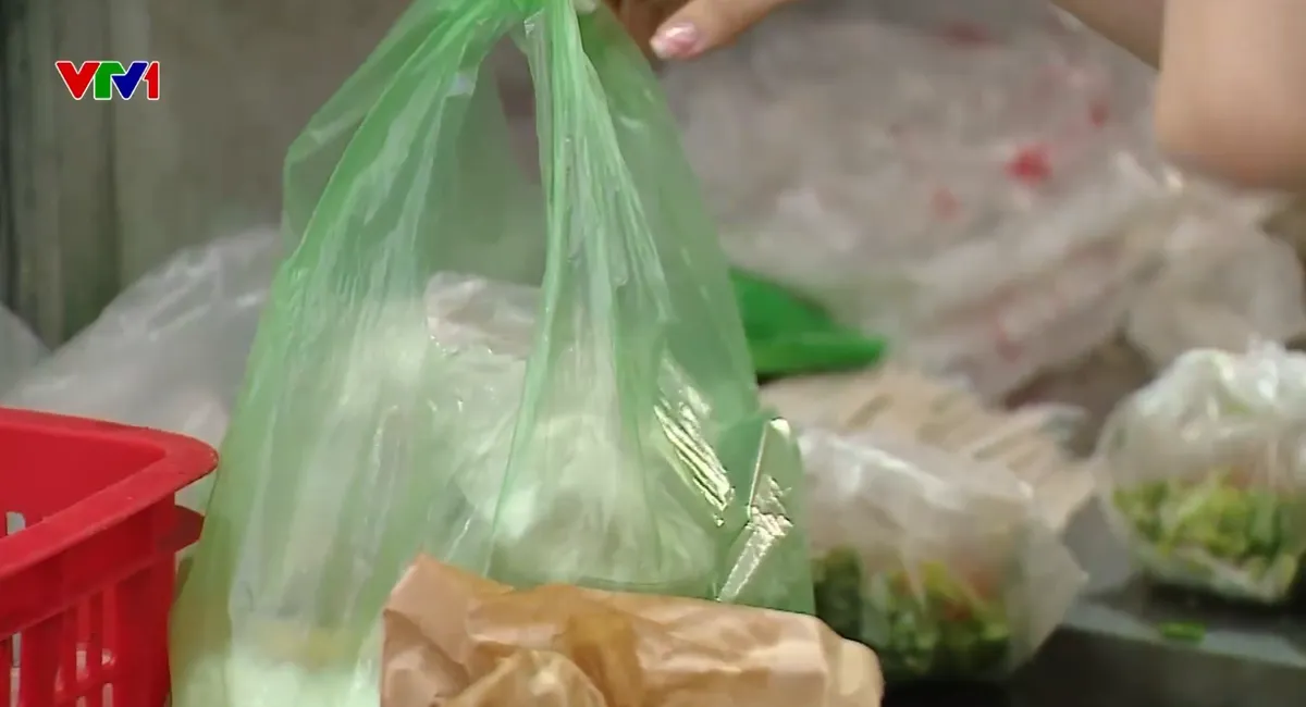 Ngày Quốc tế không sử dụng túi nylon 3/7: Tiến tới hạn chế sử dụng túi nylon dùng 1 lần - Ảnh 1.