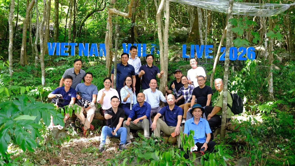 Vietnam Wild Live m&ugrave;a đầu ti&ecirc;n: Dấu ấn ti&ecirc;n phong v&agrave; sức h&uacute;t được minh chứng qua những con số - Ảnh 2.