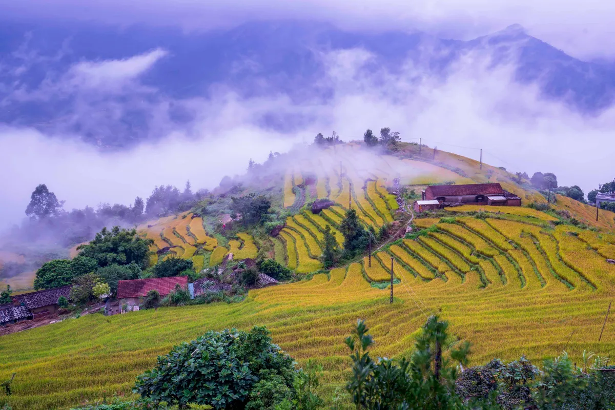 Quảng Ninh: Tiên phong kiến tạo hệ sinh thái du lịch xanh bền vững- Ảnh 3.