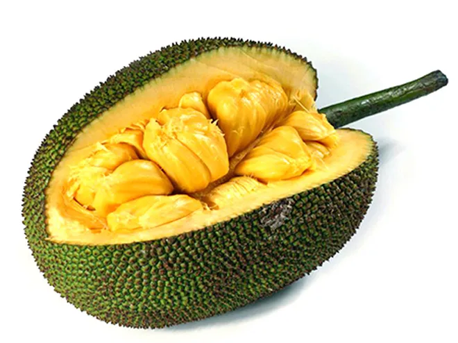 Ăn m&iacute;t c&oacute; tốt cho sức khỏe kh&ocirc;ng? Những lợi &iacute;ch v&agrave; lưu &yacute; kh&ocirc;ng n&ecirc;n bỏ qua- Ảnh 1.