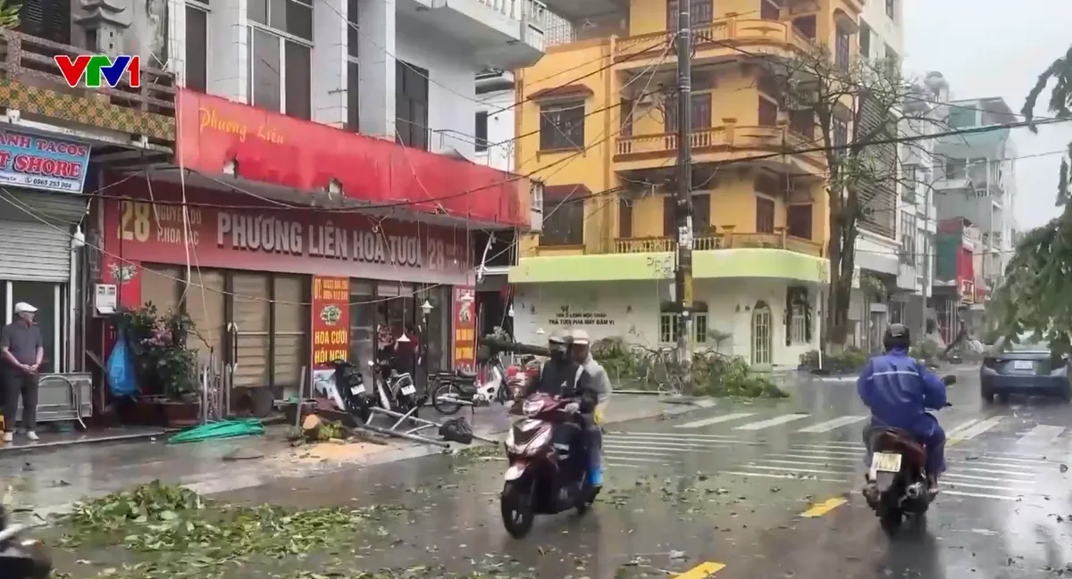 Hàng loạt cây xanh gãy đổ, 5 nhà dân bị sạt lở do mưa bão - Ảnh 1.