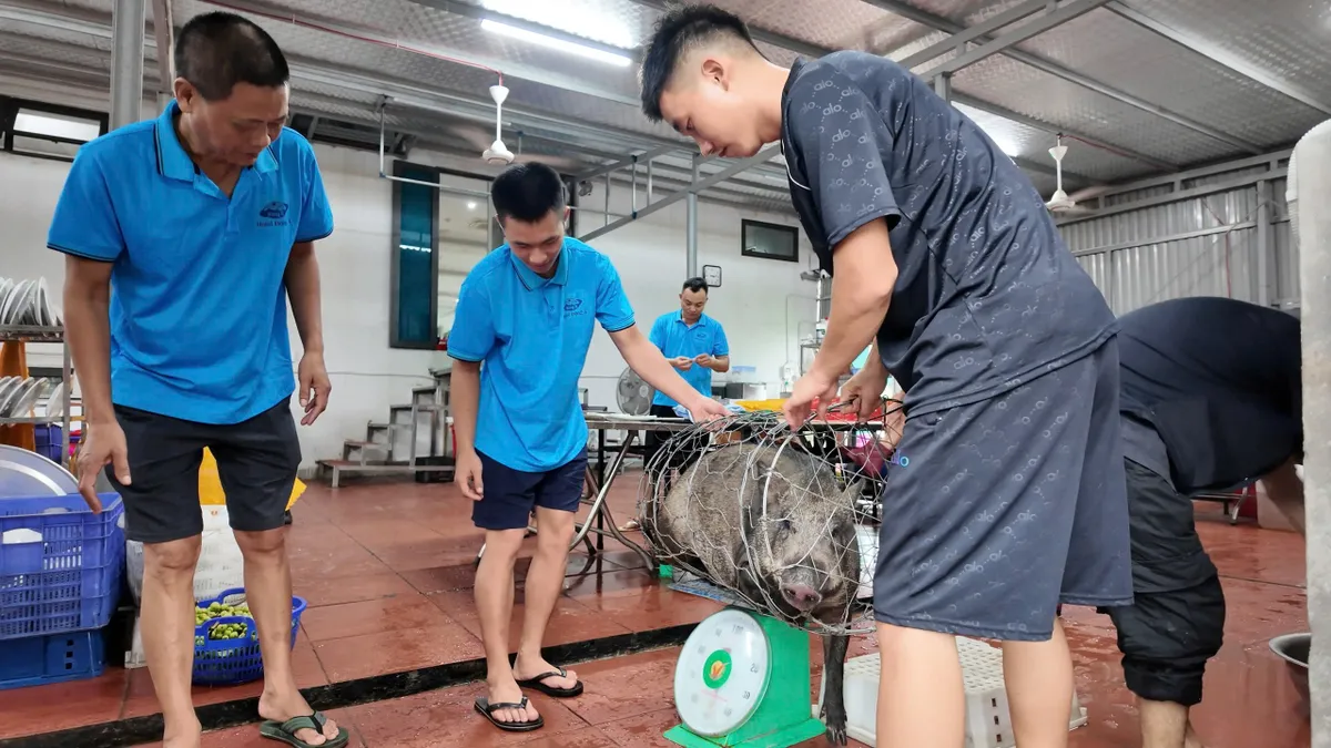 Kẹt lại đảo vì bão số 1, gần 50 du khách bất ngờ được chủ khách sạn đãi đại tiệc - Ảnh 1.