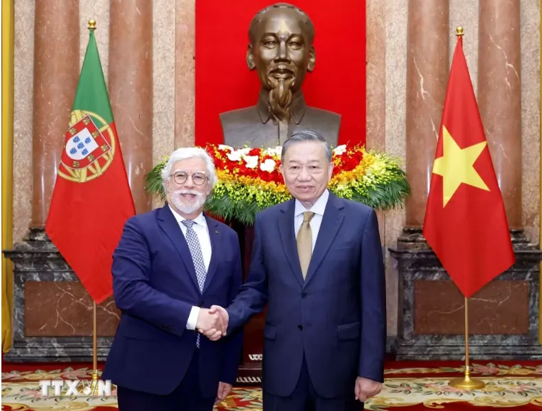 Tổng Bí thư, Chủ tịch nước Tô Lâm tiếp Đại sứ các nước trình Quốc thư - Ảnh 1.