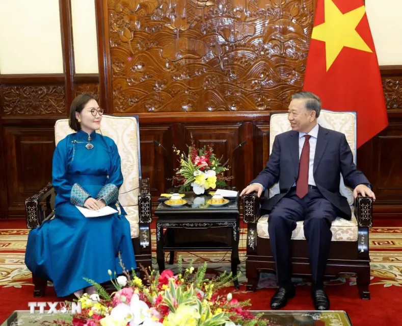 Tổng Bí thư, Chủ tịch nước Tô Lâm tiếp Đại sứ các nước trình Quốc thư - Ảnh 3.