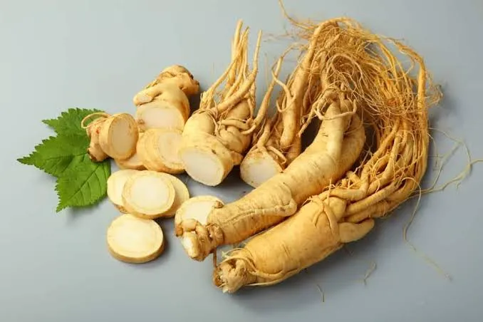 Nhân sâm có nên dùng mỗi ngày? - Ảnh 1. Nhân sâm có nên dùng mỗi ngày? - Ảnh 1.
