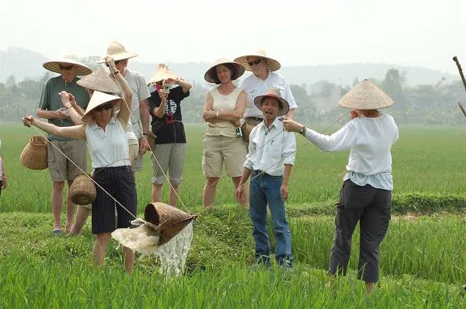 Đổi mới phương thức tiếp cận di sản: Khi du lịch s&aacute;ng tạo đ&aacute;nh thức c&aacute;c gi&aacute; trị cốt l&otilde;i- Ảnh 3.
