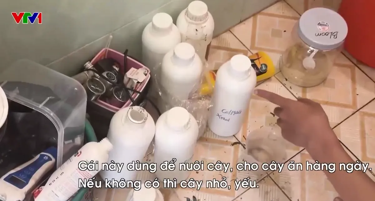 Triệt phá đường dây trồng cần sa tại nhà ngay giữa Thủ đô - Ảnh 3.