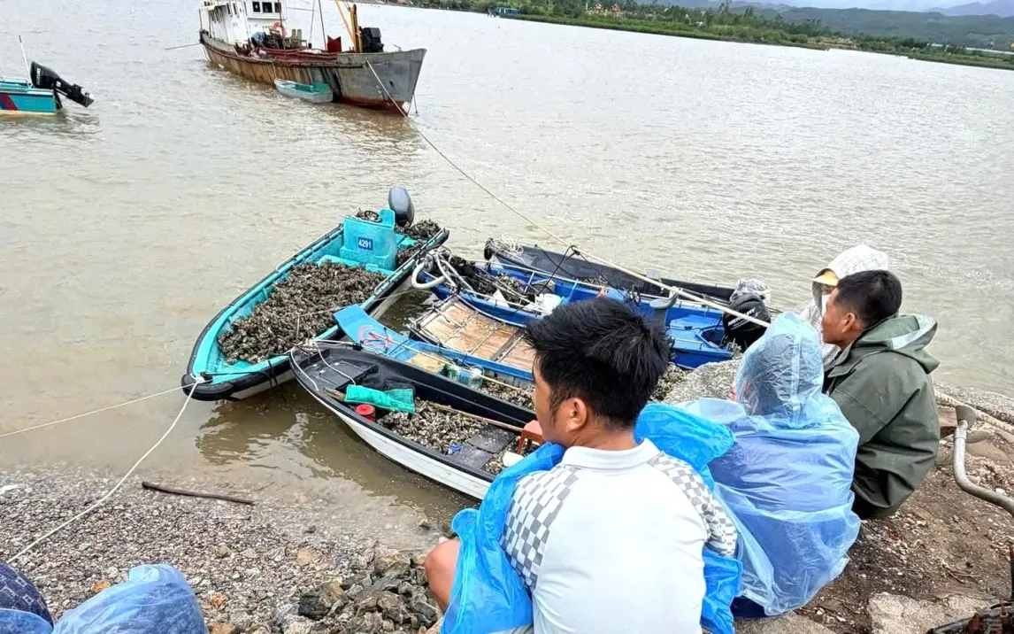 Lợi dụng mưa bão, các đối tượng trộm hàu nuôi của người dân ở Quảng Ninh - Ảnh: VOV