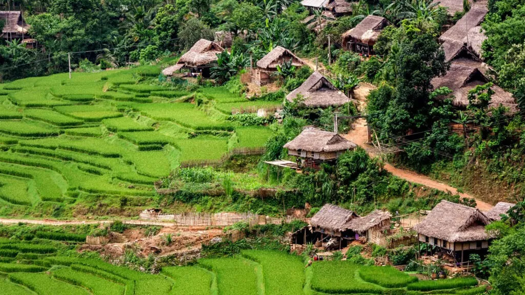 Huyền bí Pù Luông: Vẻ đẹp nguyên sơ giữa đại ngàn xứ Thanh- Ảnh 1. Huyền bí Pù Luông: Vẻ đẹp nguyên sơ giữa đại ngàn xứ Thanh- Ảnh 1.