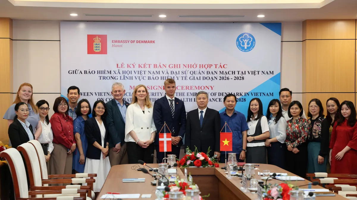 Đan Mạch v&agrave; Việt Nam th&uacute;c đẩy y tế số - Ảnh 2.