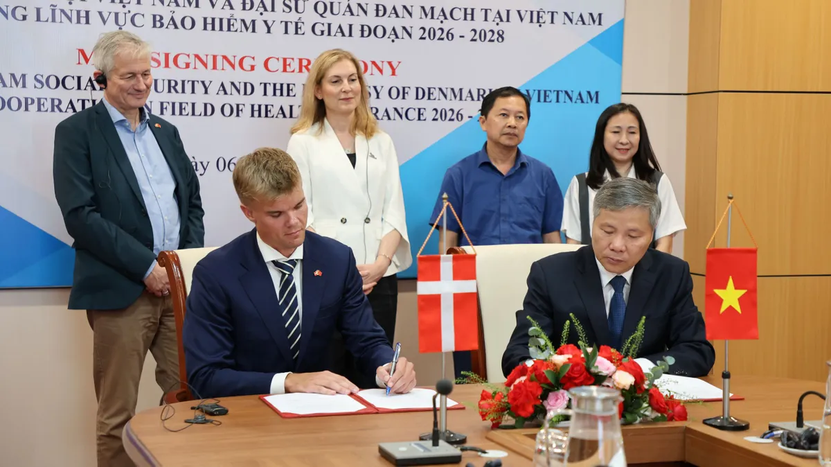 Đan Mạch v&agrave; Việt Nam th&uacute;c đẩy y tế số - Ảnh 1.