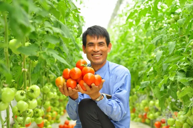 Lâm Đồng tăng tốc ứng dụng công nghệ cao, nâng giá trị nông sản và mở rộng thị trường- Ảnh 1. Lâm Đồng tăng tốc ứng dụng công nghệ cao, nâng giá trị nông sản và mở rộng thị trường- Ảnh 1.