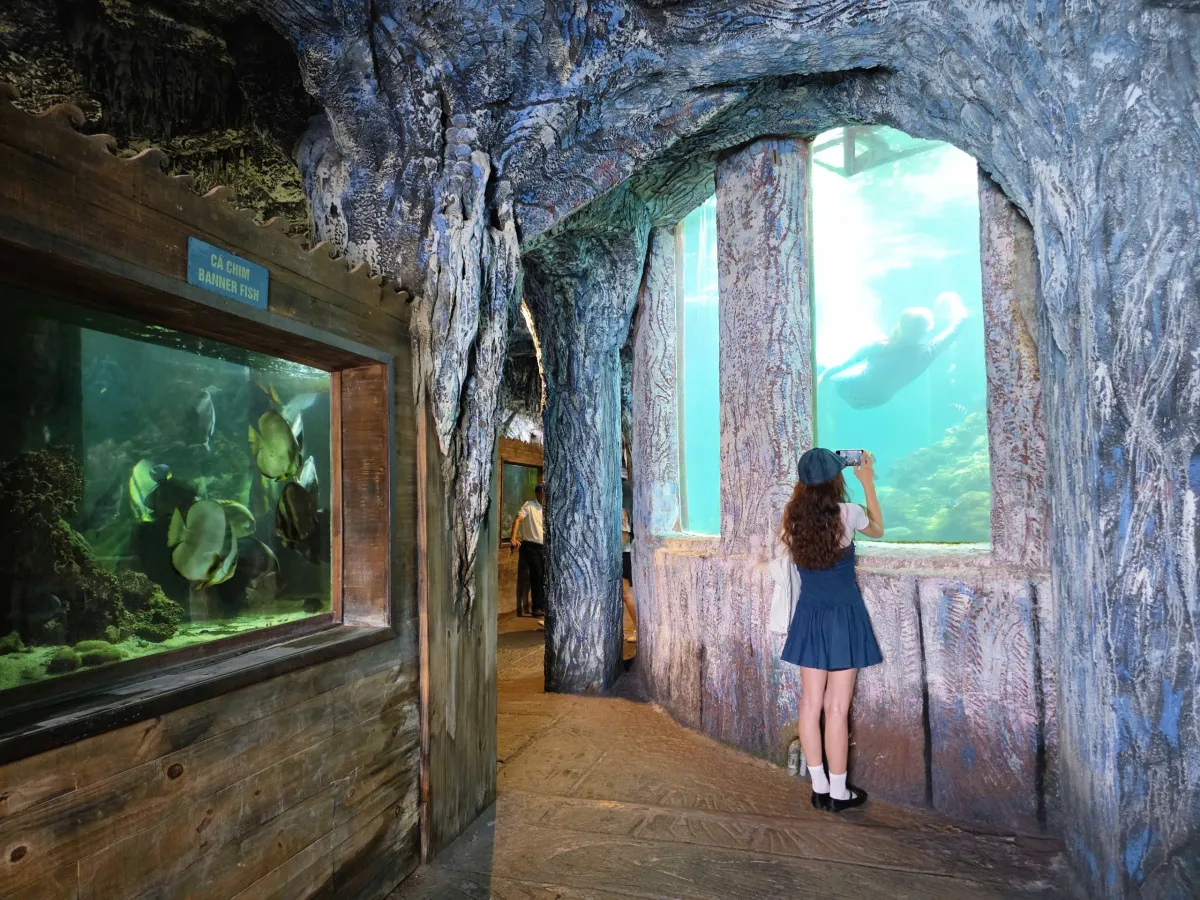 Kh&aacute;m ph&aacute; thủy cung trong con t&agrave;u "h&oacute;a thạch" độc đ&aacute;o giữa vịnh Nha Trang- Ảnh 1.