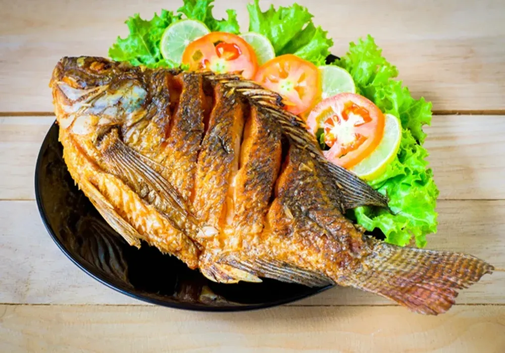 Cá rô phi ít béo, giàu vi chất và những lợi ích bất ngờ đối với sức khỏe- Ảnh 1. Cá rô phi ít béo, giàu vi chất và những lợi ích bất ngờ đối với sức khỏe- Ảnh 1.