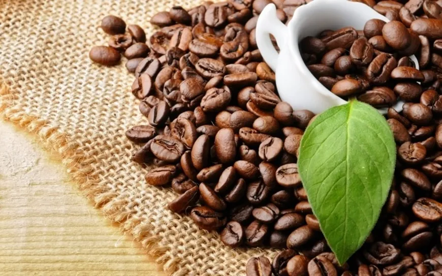 Bản tin nông sản hôm nay (9-7): Giá cà phê bất ngờ quay đầu giảm
- Ảnh 1.