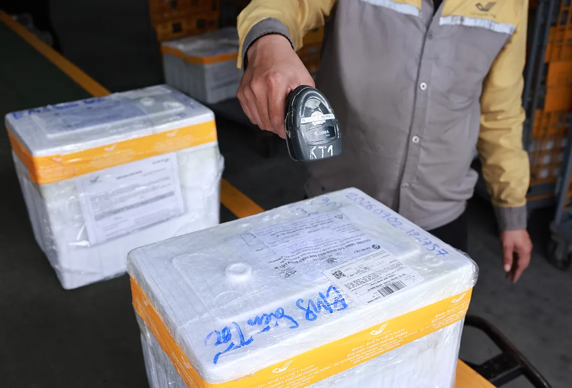 Quy tr&igrave;nh ri&ecirc;ng biệt để vận chuyển mẫu ADN th&acirc;n nh&acirc;n liệt sĩ trong Chiến dịch 500 ng&agrave;y đ&ecirc;m- Ảnh 2.