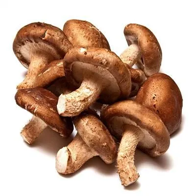 Nấm hương - Thực phẩm giàu dinh dưỡng mang đến nhiều lợi ích cho sức khỏe- Ảnh 1. Nấm hương - Thực phẩm giàu dinh dưỡng mang đến nhiều lợi ích cho sức khỏe- Ảnh 1.