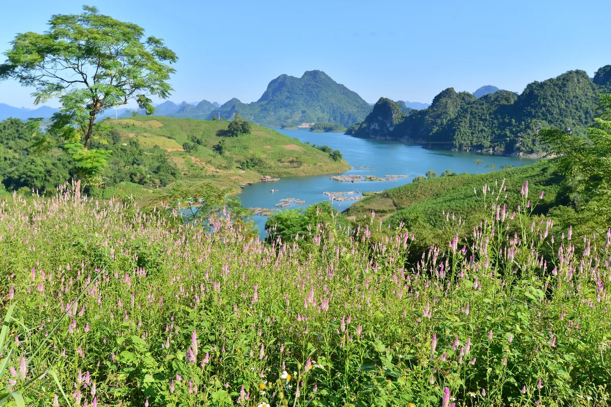 Đ&agrave; Bắc: Điểm đến l&yacute; tưởng cho du lịch nghỉ dưỡng sinh th&aacute;i giữa n&uacute;i rừng T&acirc;y Bắc&nbsp;- Ảnh 2.