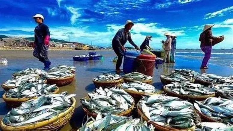 Xuất khẩu thủy sản đạt gần 5,8 tỷ USD nhưng nhiều th&aacute;ch thức chờ đợi trong nửa cuối năm- Ảnh 1.