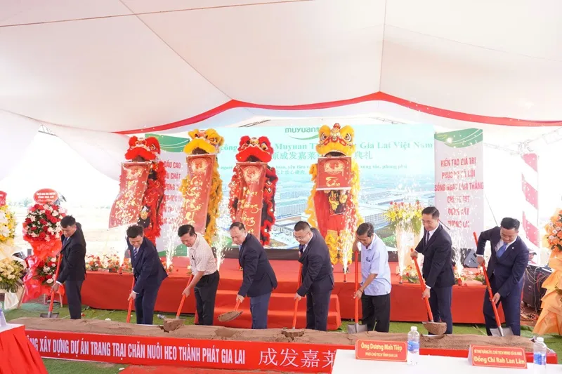 Gia Lai xúc tiến đầu tư, mời doanh nghiệp Trung Quốc đầu tư vào loạt lĩnh vực- Ảnh 5.