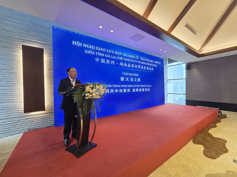 Gia Lai xúc tiến đầu tư, mời doanh nghiệp Trung Quốc đầu tư vào loạt lĩnh vực- Ảnh 1.