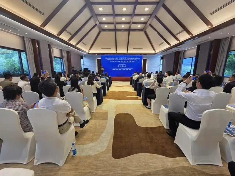 Gia Lai xúc tiến đầu tư, mời doanh nghiệp Trung Quốc đầu tư vào loạt lĩnh vực- Ảnh 2.