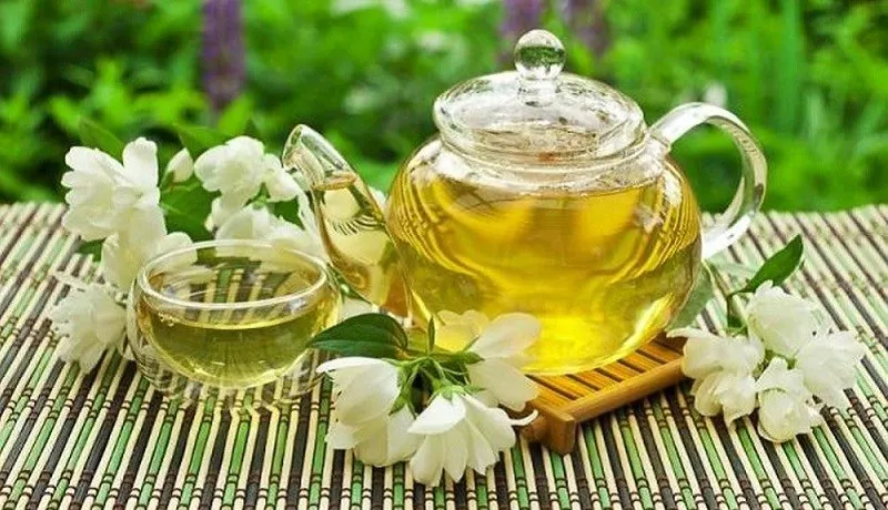 Trà hoa nhài - Thức uống thanh mát mang đến nhiều lợi ích cho sức khỏe phụ nữ- Ảnh 1. Trà hoa nhài - Thức uống thanh mát mang đến nhiều lợi ích cho sức khỏe phụ nữ- Ảnh 1.