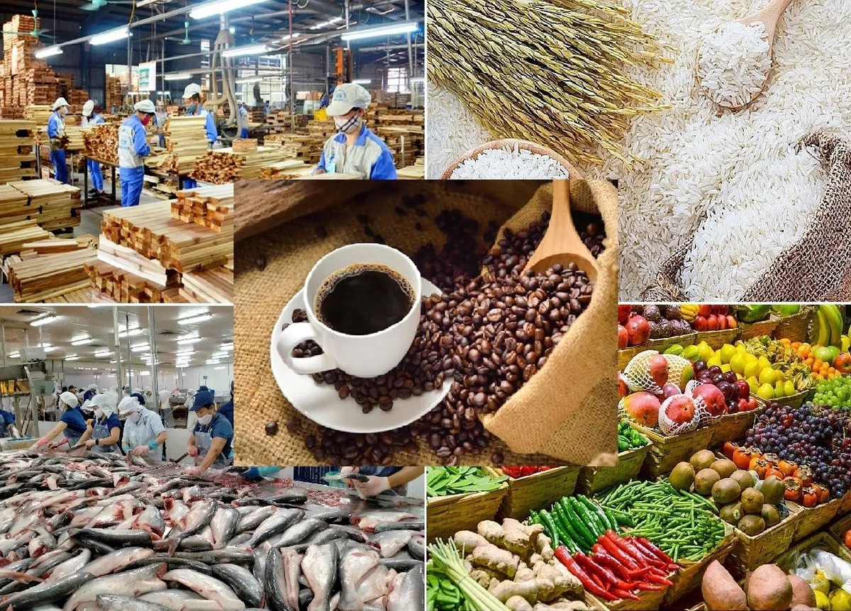 Đề xuất cải cách thủ tục nhập khẩu nguyên liệu, tạo động lực cho xuất khẩu nông sản- Ảnh 1. Đề xuất cải cách thủ tục nhập khẩu nguyên liệu, tạo động lực cho xuất khẩu nông sản- Ảnh 1.