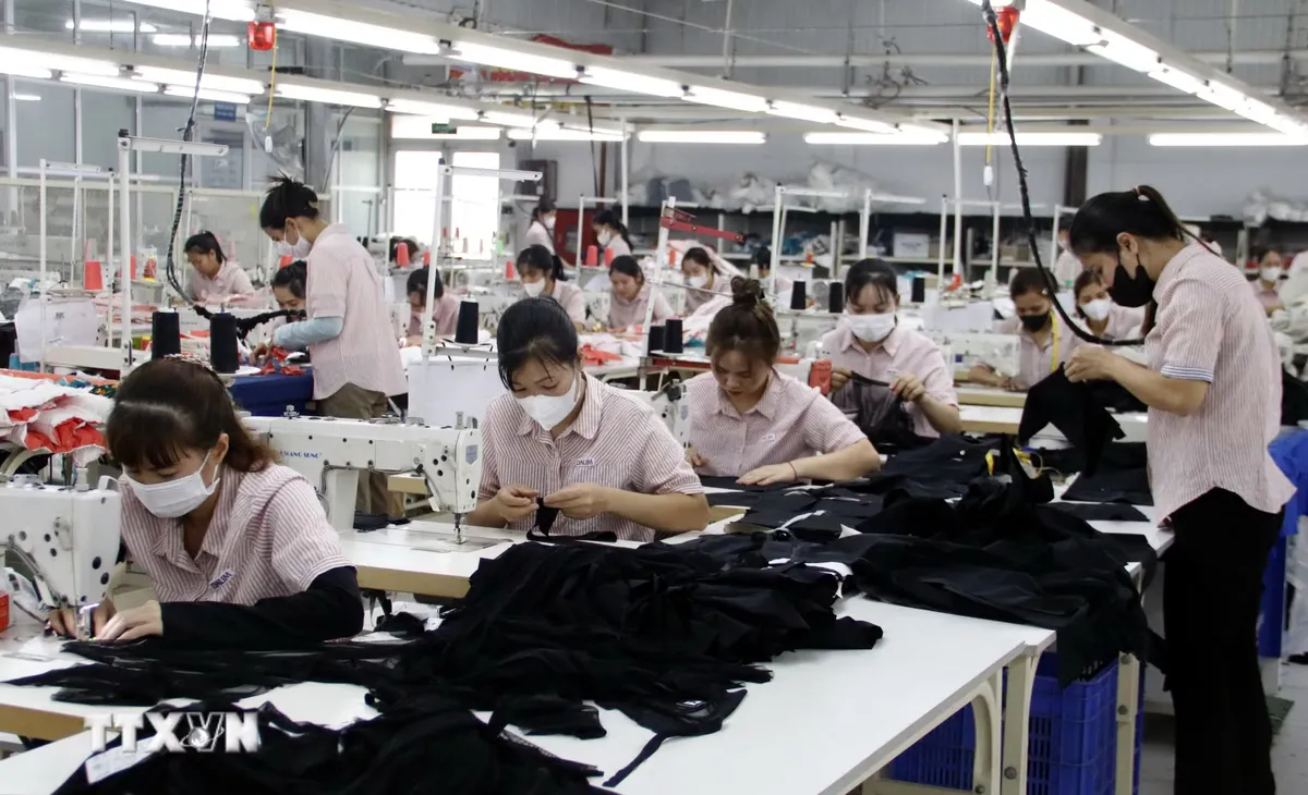 Sau cột mốc thu nhập trung bình cao, Việt Nam cần làm gì? - Ảnh 3.