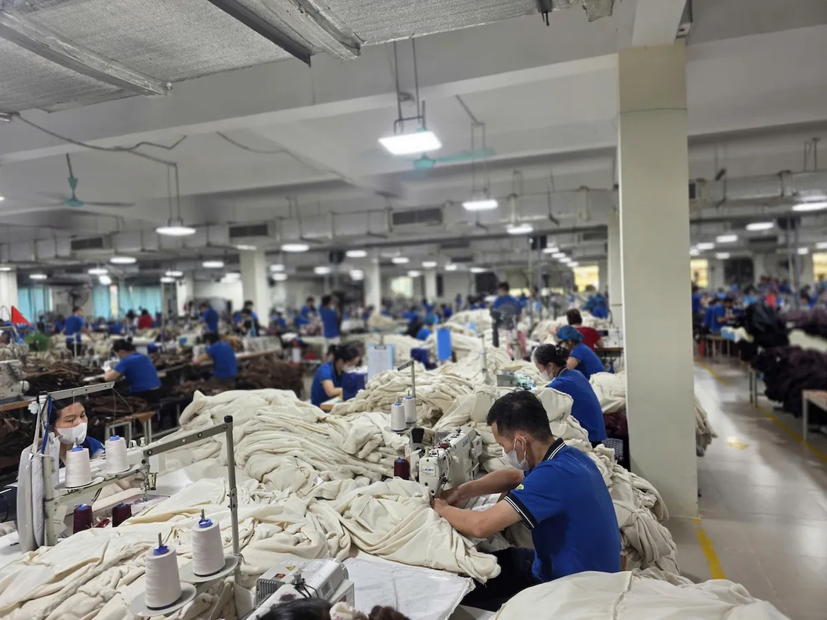 Doanh nghiệp lưu ý tuân thủ ngưỡng PFAS trong xuất khẩu sang EU- Ảnh 1.