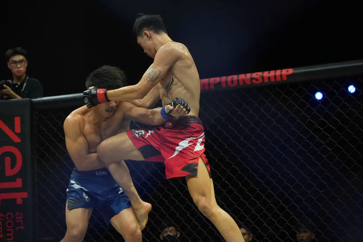 L&agrave;n s&oacute;ng chỉ tr&iacute;ch trận MMA Duo tại LION Championship 33- Ảnh 2.
