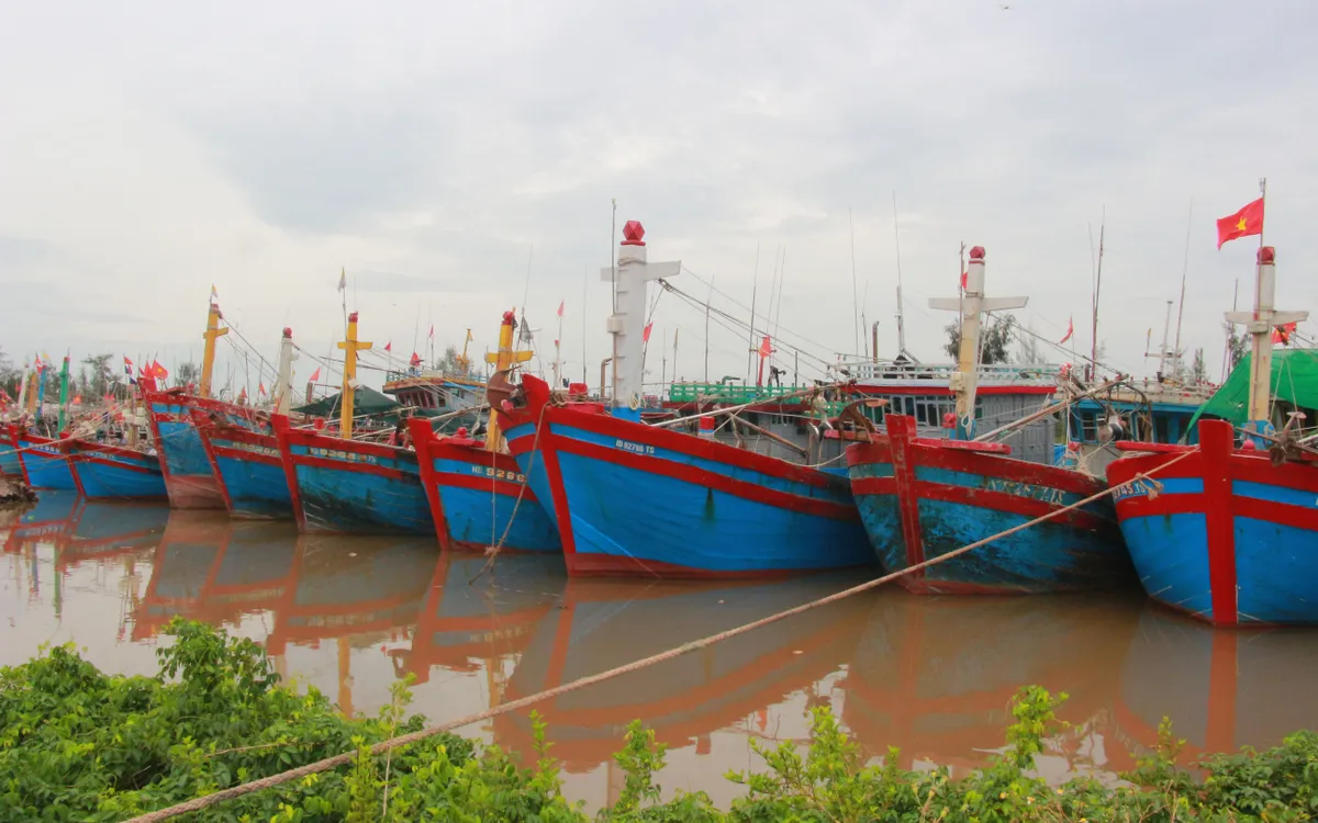 Tàu thuyền đánh bắt xa bờ của tỉnh Ninh Bình neo đậu tại Cảng cá Ninh Cơ (xã Hải Thịnh, tỉnh Ninh Bình). Ảnh: Mai Chiến