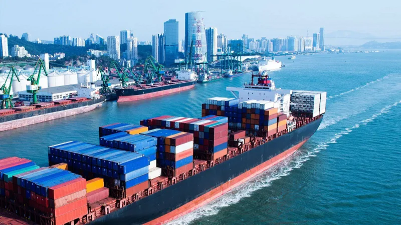 Cước tàu biển tăng phi mã, ngành thủy sản Việt đối mặt áp lực lớn trong mùa xuất khẩu cao điểm- Ảnh 1. Cước tàu biển tăng phi mã, ngành thủy sản Việt đối mặt áp lực lớn trong mùa xuất khẩu cao điểm- Ảnh 1.