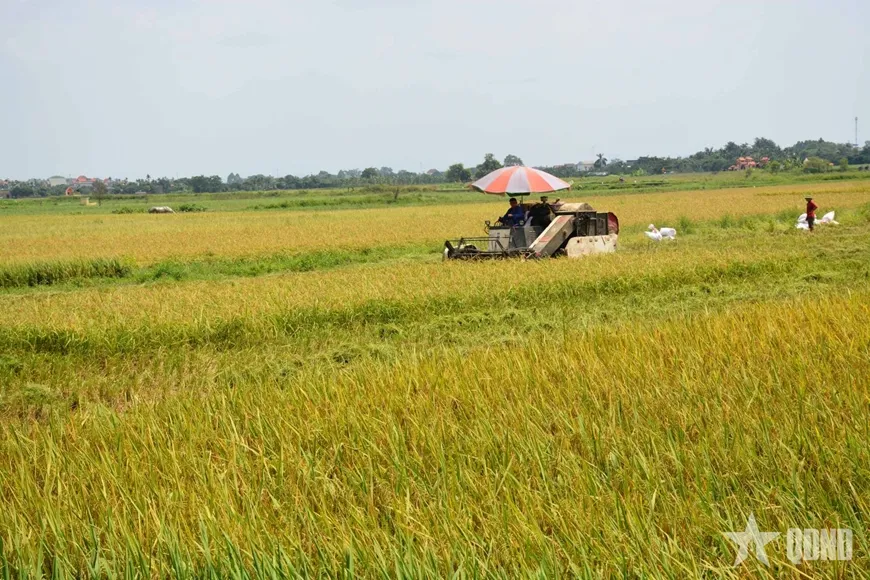 Giảm phát thải khí nhà kính trong nông nghiệp- Ảnh 1.