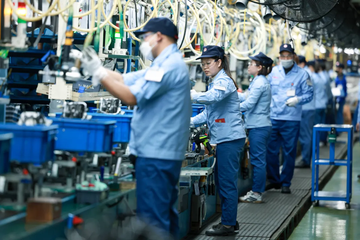 Tổng điều tra kinh tế năm 2026: Khu vực doanh nghiệp tiếp tục l&agrave; động lực tăng trưởng quan trọng- Ảnh 2.