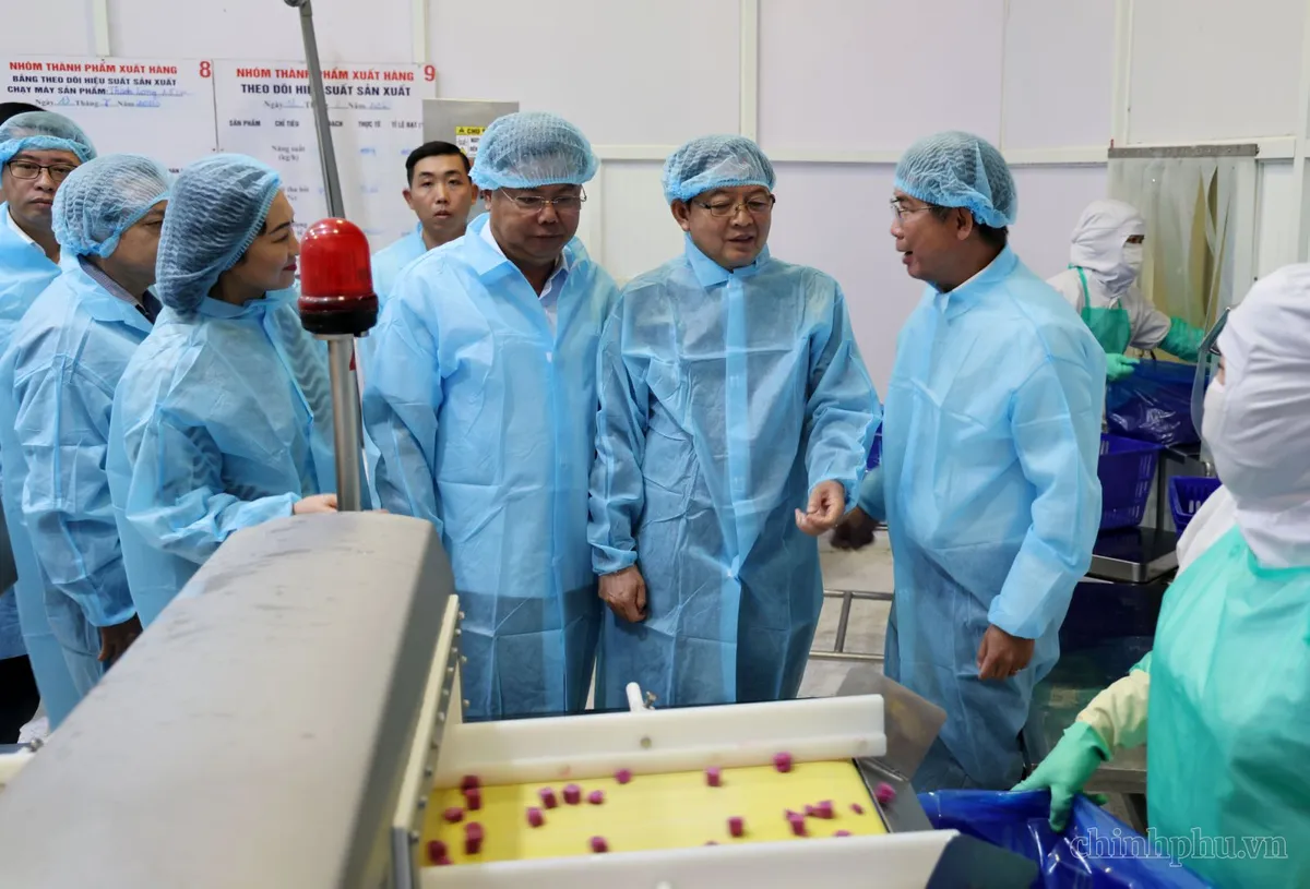 Xây dựng chuỗi liên kết bền vững, nâng cao giá trị nông sản và thủy sản Việt Nam- Ảnh 1.