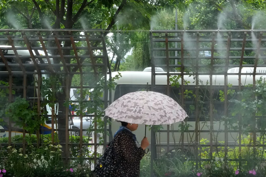 Hàn Quốc cảnh báo hiện tượng "đêm nhiệt đới"- Ảnh 1.