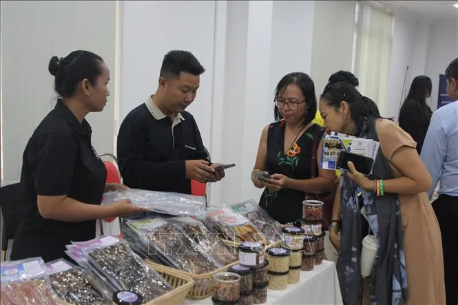 Thúc đẩy thương mại điện tử xuyên biên giới giữa Việt Nam, Campuchia- Ảnh 5.