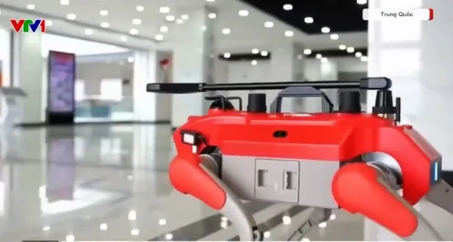 Ch&oacute; robot hỗ trợ dẫn đường cho người khiếm thị  - Ảnh 1.