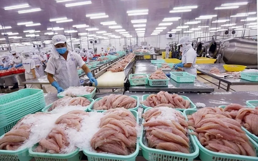 Xuất khẩu thủy sản dự báo lạc quan khi cá tra xuất khẩu dự kiến tăng khoảng 5% so với cùng kỳ năm trước - Ảnh: Báo Chính phủ 