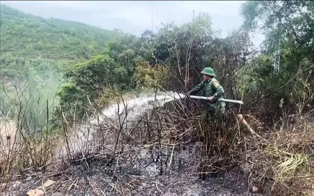 Lực lượng chức năng tích cực khống chế đám cháy. Ảnh: TTXVN