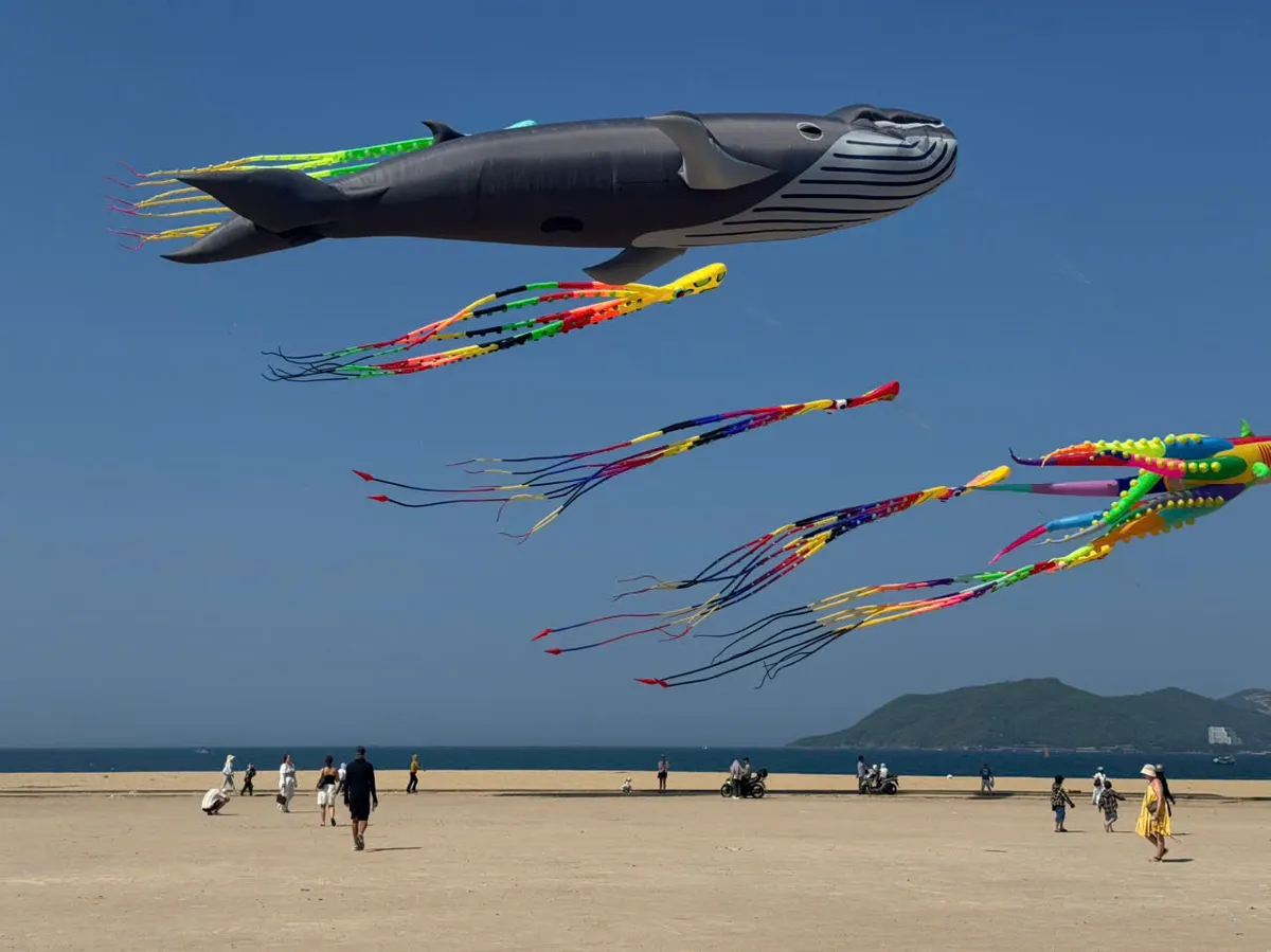 Diều khổng lồ rực rỡ bầu trời Nha Trang trong mùa Festival Biển - Ảnh 4.