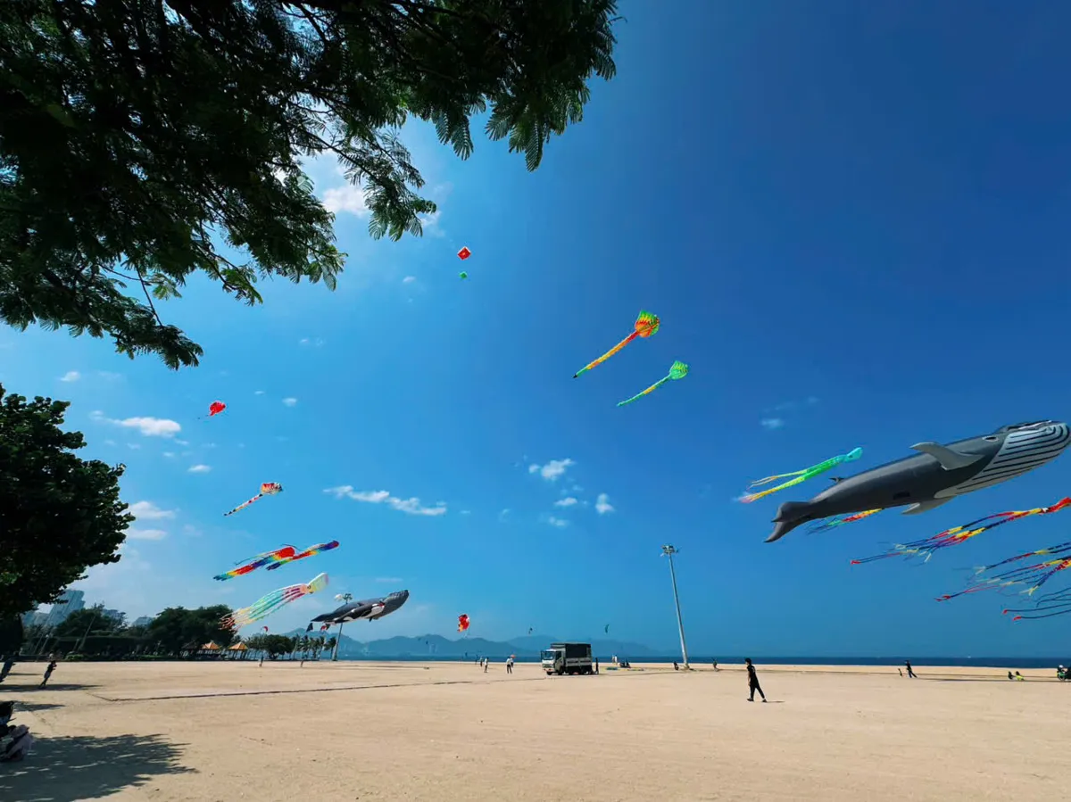 Diều khổng lồ rực rỡ bầu trời Nha Trang trong mùa Festival Biển - Ảnh 3.
