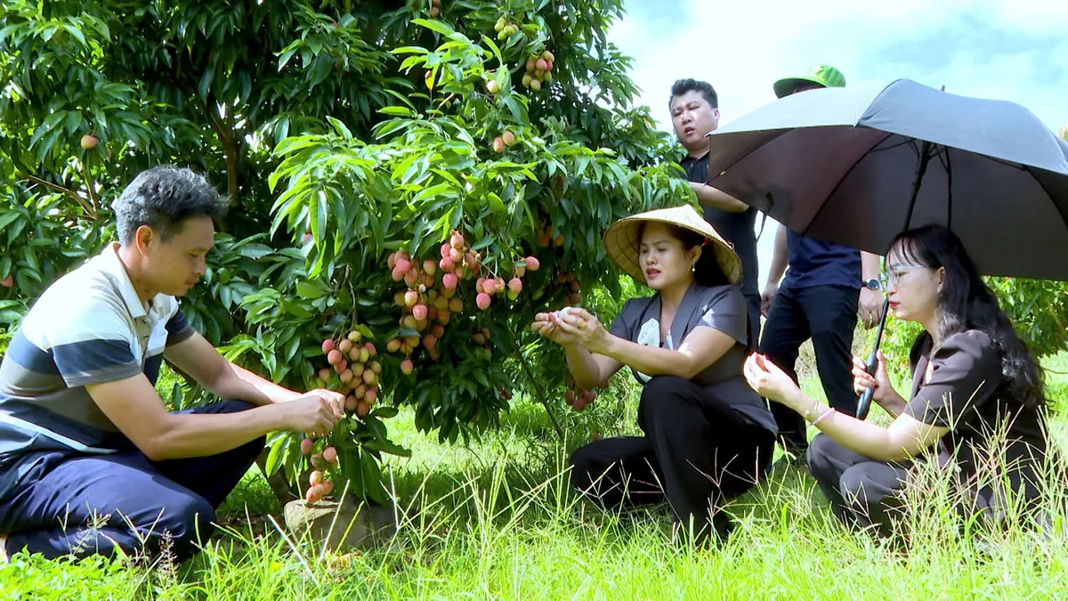 Thanh Hóa lượng hóa mục tiêu tăng trưởng đến từng ngành, địa phương - Ảnh 2.