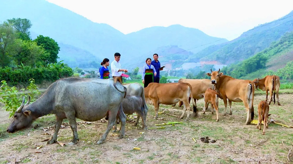 Thanh Hóa lượng hóa mục tiêu tăng trưởng đến từng ngành, địa phương - Ảnh 1.