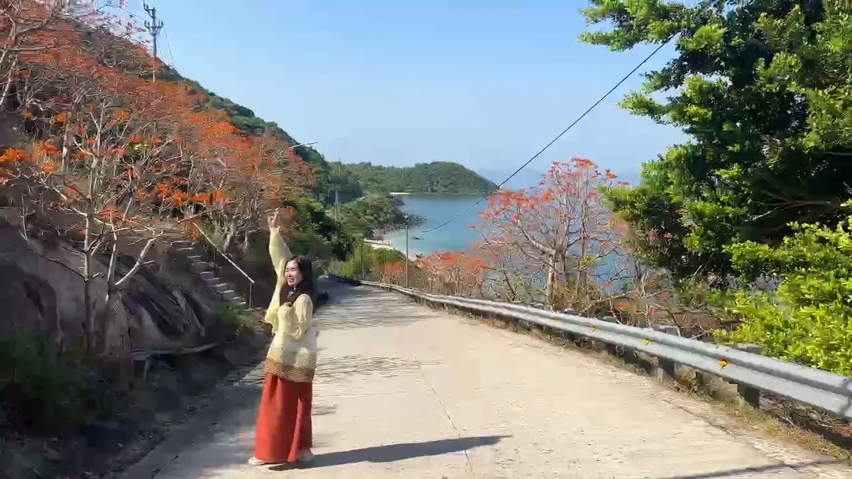 Mùa hoa Ngô đồng đỏ - Dấu ấn sinh thái và văn hóa đặc sắc của Cù Lao Chàm- Ảnh 5. Mùa hoa Ngô đồng đỏ - Dấu ấn sinh thái và văn hóa đặc sắc của Cù Lao Chàm- Ảnh 5.