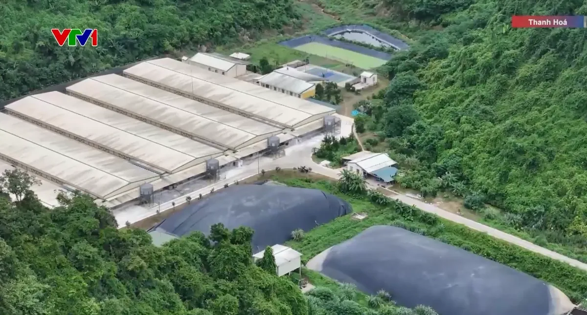 Xác định nguyên nhân ban đầu vụ tai nạn lao động khiến 5 người tử vong ở Thanh Hóa - Ảnh 2.