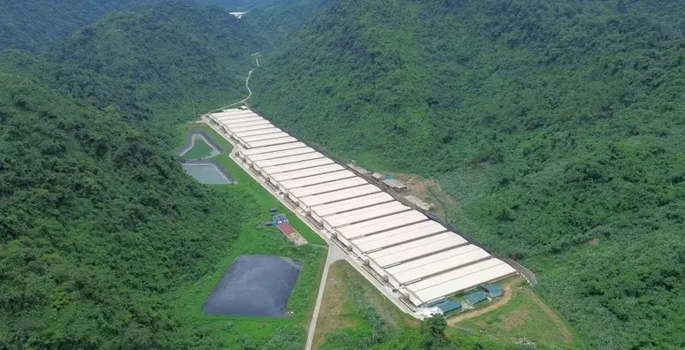 Tai nạn tại trang trại lợn ở Thanh Hóa làm 7 người thương vong - Ảnh 1.