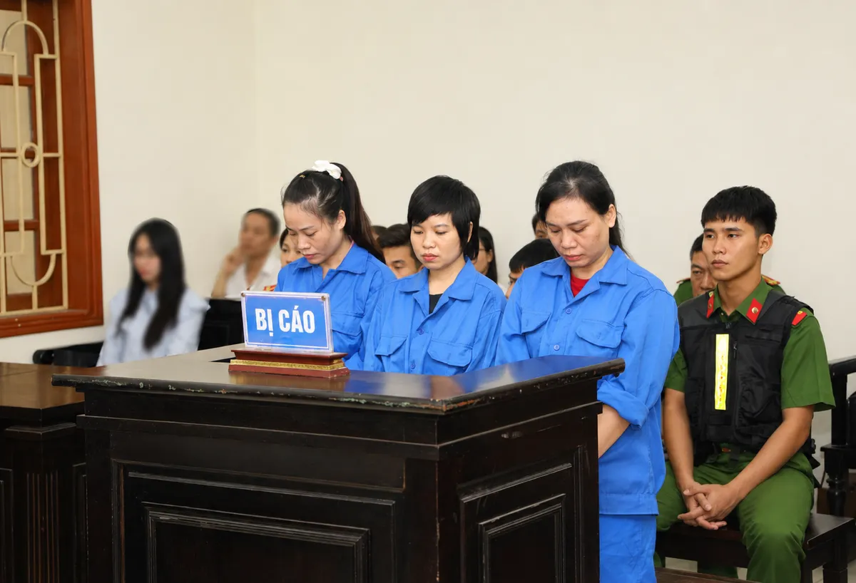 Ninh Bình: Ba bị cáo lĩnh tổng cộng 40 năm tù về tội mua bán người dưới 16 tuổi - Ảnh 1.